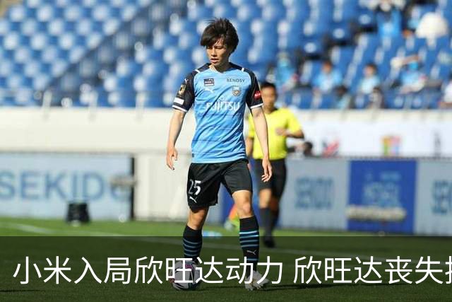 小米入局欣旺达动力 欣旺达丧失控制权